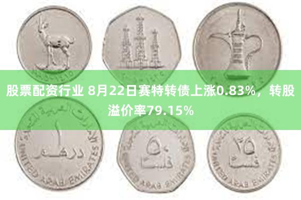 股票配资行业 8月22日赛特转债上涨0.83%，转股溢价率79.15%